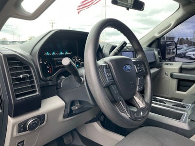 2020 Ford F-150 XL - 5.0L V8 / STX APPEARANCE PKG