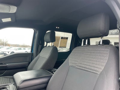 2021 Ford F-150 XL - 4WD / STX APPEARANCE PKG