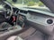 2012 Ford Mustang Shelby GT500 - SVT PERFORMANCE PKG / SHELBY RECARO SEATS