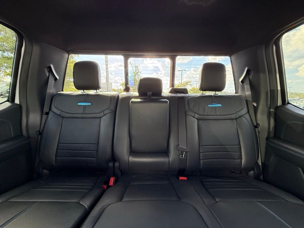 2025 Ford F-150 Platinum