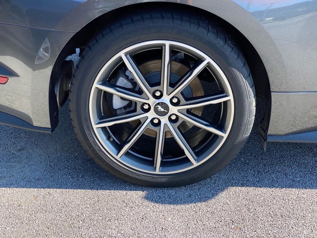 2019 Ford Mustang EcoBoost