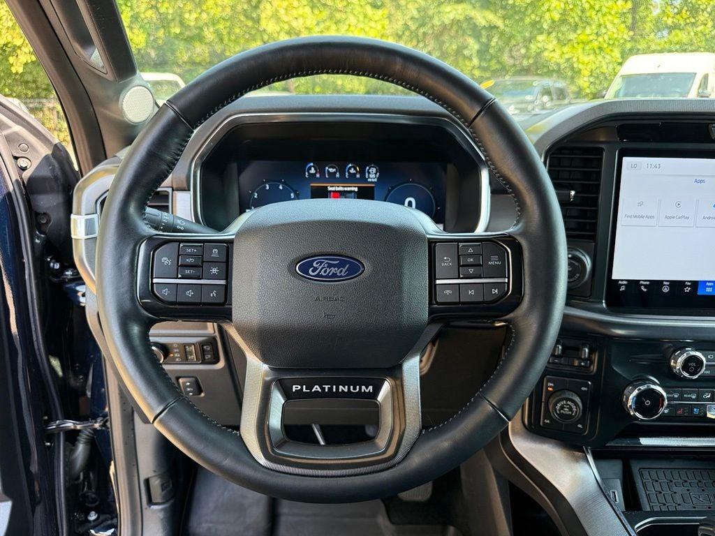 2025 Ford F-150 Platinum