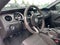 2012 Ford Mustang Boss 302 - CLEAN CARFAX / LOW MILES!