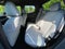 2025 Hyundai Santa Cruz SEL - HYUNDAI CPO / CARFAX ONE OWNER