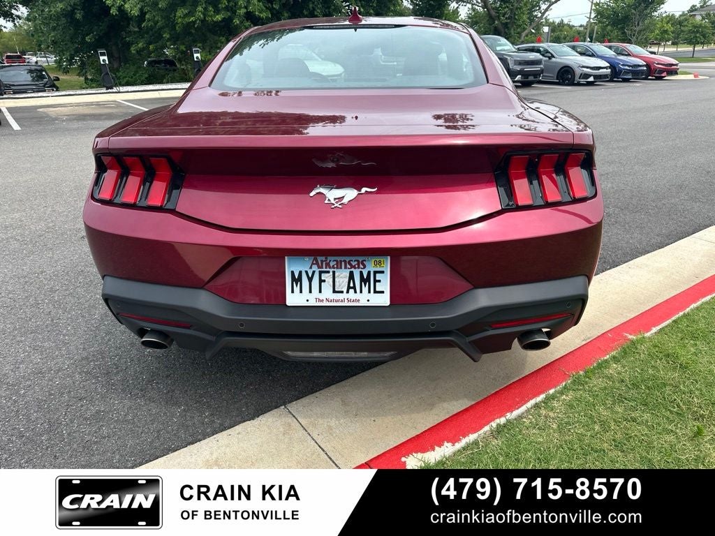 2025 Ford Mustang EcoBoost - CLEAN CARFAX / ONE OWNER