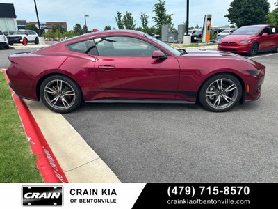 2025 Ford Mustang EcoBoost - CLEAN CARFAX / ONE OWNER