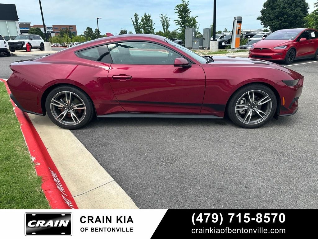 2025 Ford Mustang EcoBoost - CLEAN CARFAX / ONE OWNER
