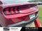 2025 Ford Mustang EcoBoost - CLEAN CARFAX / ONE OWNER