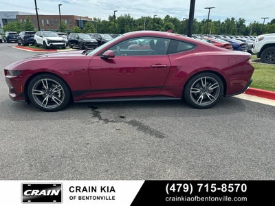 2025 Ford Mustang EcoBoost - CLEAN CARFAX / ONE OWNER