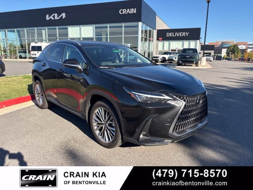 2025 Lexus NX 350 Premium
