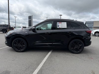 2024 Ford Escape ST-Line Elite