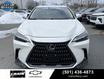 2024 Lexus NX NX 250